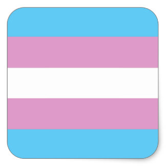 https://ohs-jma.com/wp-content/uploads/2017/06/trans-logo.jpg